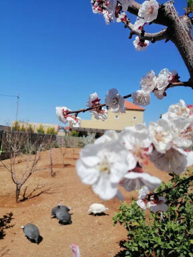 Villa Zee Madaba Bagian luar foto